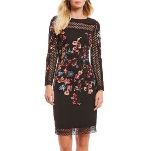 Antonio Melani Dress, 6